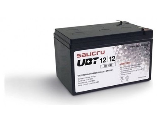 BATERIA SAI SALICRU 12V/34W UBT 12/12  ·