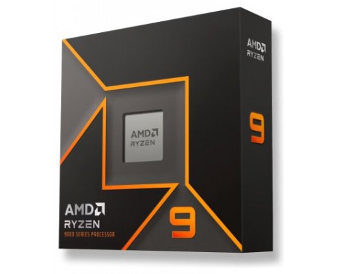 AMD RYZEN 9 9900X AM5