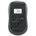 Mouse raton mini equip life optico-MR2 Mouse raton mini equip life optico