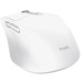 RATON OPTICO WIRELESS NIVEN BLANCO TRUST-AA6 RATON OPTICO WIRELESS NIVEN BLANCO TRUST