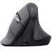 RATON OPTICO WIRELESS ERGONOMICO VERTICAL VYRAN NEGRO TRUST