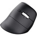 RATON OPTICO WIRELESS ERGONOMICO VERTICAL VYRAN NEGRO TRUST