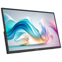 MONITOR MSI PRO MP165 E6 PORTATIL