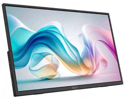 MONITOR MSI PRO MP165 E6 PORTATIL