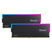 Biwin DW100 DDR5 6000 48GB CL28 (24*2) Black RGB-101IA Biwin DW100 DDR5 6000 48GB CL28 (24*2) Black RGB
