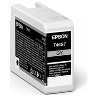 Epson singlepack gray t46s7 ultrachrome pro-5MR Epson singlepack gray t46s7 ultrachrome pro