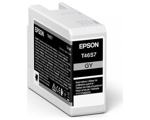 Epson singlepack gray t46s7 ultrachrome pro-MR5 Epson singlepack gray t46s7 ultrachrome pro