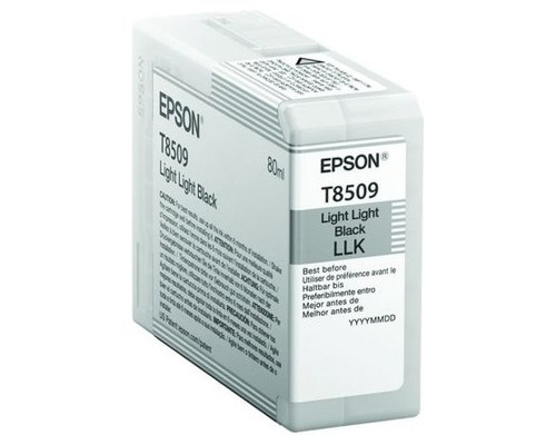Cartucho tinta epson c13t850900 singlepack light-MR10 Cartucho tinta epson c13t850900 singlepack light