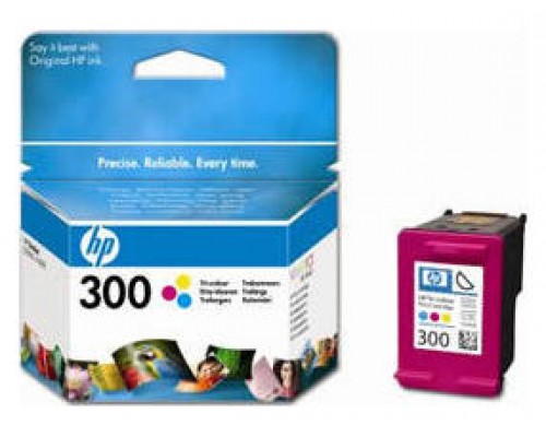 HP Cartucho 300 Color