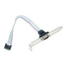 Gembird Cable DB9 Puerto Serie de 10pin 0,25mts-IA1 Gembird Cable DB9 Puerto Serie de 10pin 0,25mts