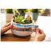 Etiquetas cinta continua brother cz1005 50mm-MR7 Etiquetas cinta continua brother cz1005 50mm