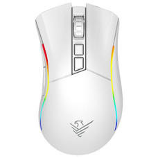 Rat&oacute;n gaming inalambrico void elite 19000