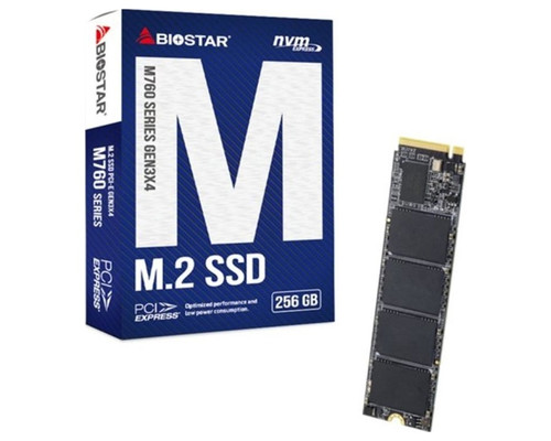 Disco duro interno ssd biostar m760-MR13 Disco duro interno ssd biostar m760