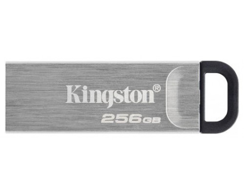 Kingston DataTraveler DTKN 256GB USB 3.2 Gen1 Plat