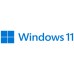 WINDOWS 11 PRO 64 BITS OEM