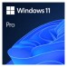 Microsoft Windows 11 Pro 64b  ESD