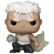 Funko pop fullmetal alchemist brotherhood scar-MR2 Funko pop fullmetal alchemist brotherhood scar