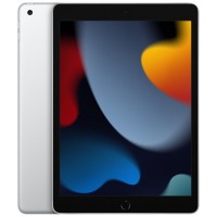 IPAD 9ªGEN/A13/256GB/WIFI/10.2"/SILVER