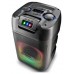 NGS Altavoz WILDCLUB 80W Luces Laser